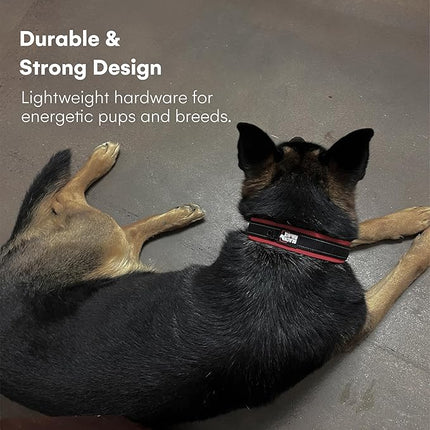 Black Rhino Dog Collar for Large Dogs - Adjustable Reflective Heavy Duty Dog Collars with Ultra-Soft Neoprene Padding - Weatherproof, Durable, and Comfortable for Active Dogs - Burgundy and Black