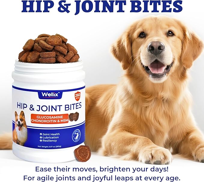 260 Bites Wellix Dog Hip and Joint Supplement Arthritis Pain Relief with Glucosamine Chondroitin MSM Functional Ingredients Joint Care Chews for Senior Dogs Antioxidant Supplements