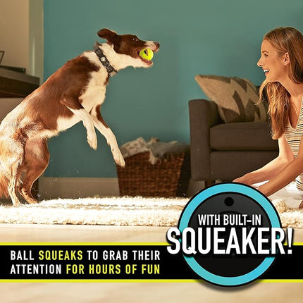 Franklin Pet Supply Co. RSF Squeak Tennis Balls - Dog Toy Squeaks When Squeezed - 12 Pack - for Small, Medium, Large Dogs - Squeaker Noise