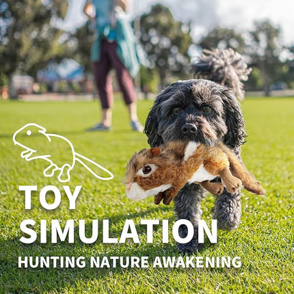 ALL FOR PAWS Dog Squeaky Toys Stuffed Animal Chipmunk Pet Plush Toys Squeak Chew Toy for Dogs Large