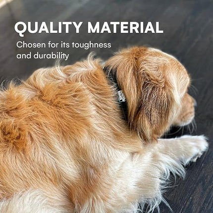 Black Rhino Dog Collar for Medium Dogs - 14-18 Inches Adjustable Reflective Dog Collar with Metal Buckle and Ultra-Soft Neoprene Padding - Heavy Duty Waterproof Collar for Active Pets - Black