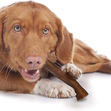 Cadet 100% Beef Strip Long Lasting Chews for Dogs, Single Ingredient Beef Esophagus Dog Treats, Natural High Protein Rawhide Alternative for Small & Large Dogs, 1.4 Ounce