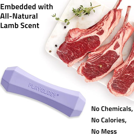 Playology Dog Toys | Durable Squeaky Chew Stick for Dogs | Medium Lamb Scented Toy - Easy to Clean and Made from Non Toxic Materials