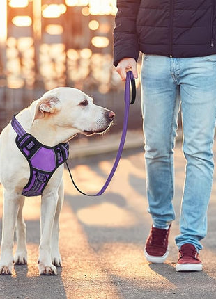 BUMBIN Dog Harness for Large Dogs, No Pull Adjustable No Choke Pet Vest with Dog Leash Fit Smart Reflective Pet Walking Harness for Training Easy Control Soft Handle Purple S