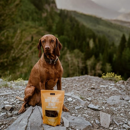 Natural Rapport Beef Heart Dog Treats - The Only Beef Heart Chews Needed - All Natural Treats for Small & Large Dogs