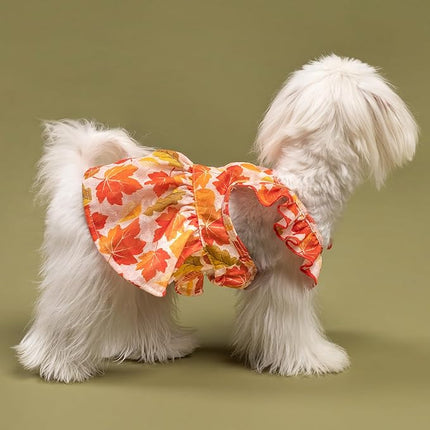 Fitwarm Maple Dog Dress, Ruffled Doggy Thanksgiving Dress, Fall Dog Clothes for Small Dogs Girl, Pet Outfit, Red, Orange, XS