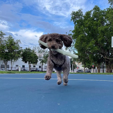 Spunky pup Glow in the Dark Stick Dog Toy Non-Toxic Waterproof Dental Texture for Teeth and Gums