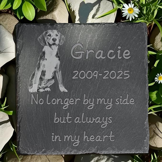 Pet Memorial Stone, Dog Memorial Stone, Dog Memorial Gifts for Loss of Dog, Pet Memorial Gifts, Loss of Pet Sympathy Gift, in Loving Memory Pet - Alwrays in My Heart - Square