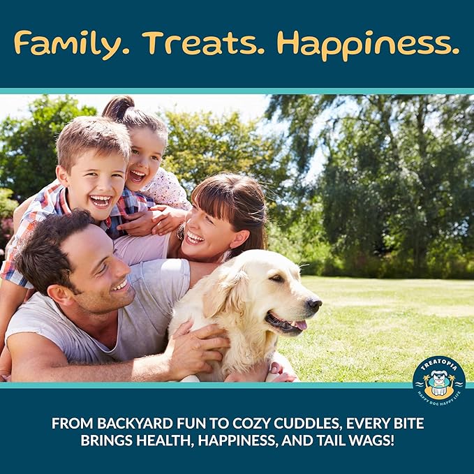 Beef Lung Nuggies Dog Treats – Single Ingredient, High Protein, Low Odor, Natural Crunchy Training Treats for Dogs – USA Sourced, Grain-Free, All-Natural (4 lb Bag)