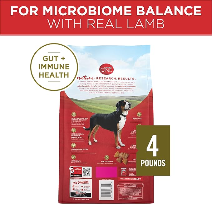 Purina ONE Dry Dog Food Lamb and Rice Formula - (Pack of 4) 4 lb. Bags