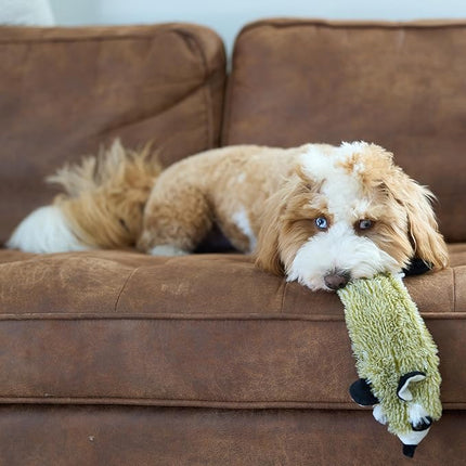 SPOT Skinneeez Raccoon 23 Inch Stuffing-Free Dog Toy – Soft Plush Tug Toy with Two Squeakers for Medium and Large Dogs – Mess-Free Interactive Chew Toy