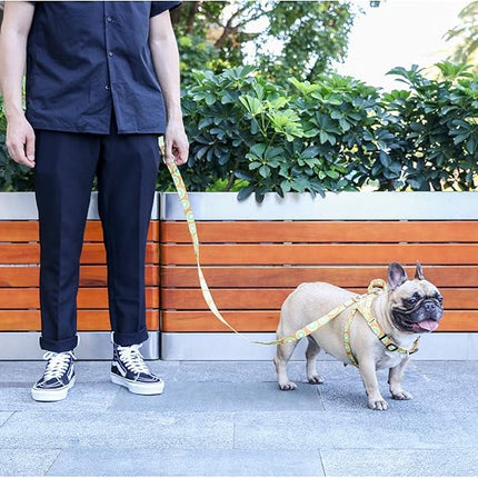 iChoue French Bulldog Harness Adjustable Locked Buckle with Handle for Frenchie Pug English Boston Terrier Dogs, Kiwi Fruit, Large
