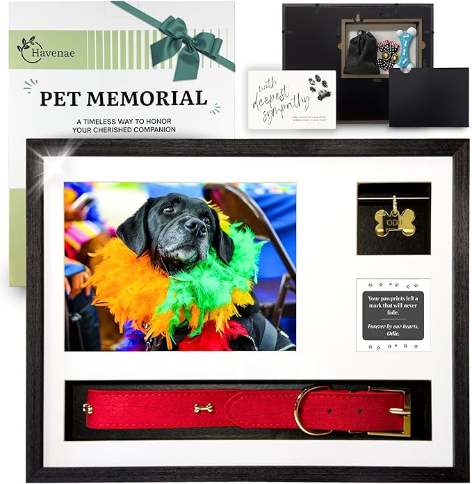 Pet Memorial Gifts for Dogs - Pet Memorial Shadow Box, Dog Loss Sympathy Gift, Pet Memorial Picture Frame, Pet Loss Gifts, Dog Bereavement Gifts