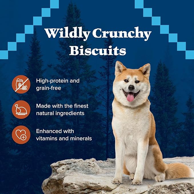 Blue Buffalo Wilderness Trail Treats High Protein Grain Free Crunchy Dog Treats Biscuits, Turkey Recipe 10-oz bag