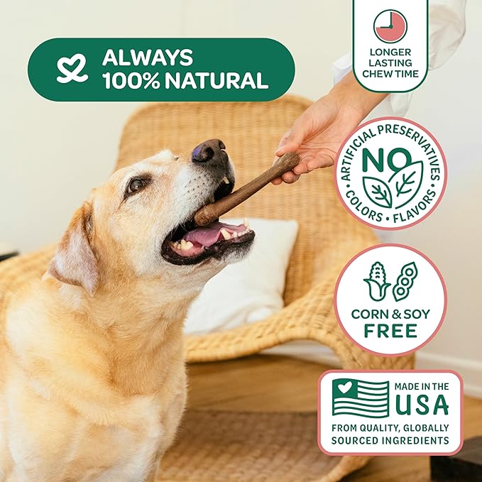 Wholesome Pride Natural & Healthy Dog Chews 2Pk for Large Dogs, Bacon Flavor, Made in The USA