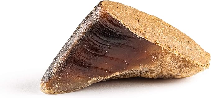 Jack&Pup Filled Cow Hooves for Dogs, Cow Hoofs for Dogs, Natural Dog Chews, Stuffed Bones (Bully Stick Flavor) 5 Pack