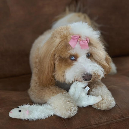 SPOT Skinneeez Crinklers Lamb - Stuffing-Free Dog Toy with Crinkle & Squeaker Sounds, Durable for Moderate Chewers, Tug Toy for Small Dogs & Puppies, 14in