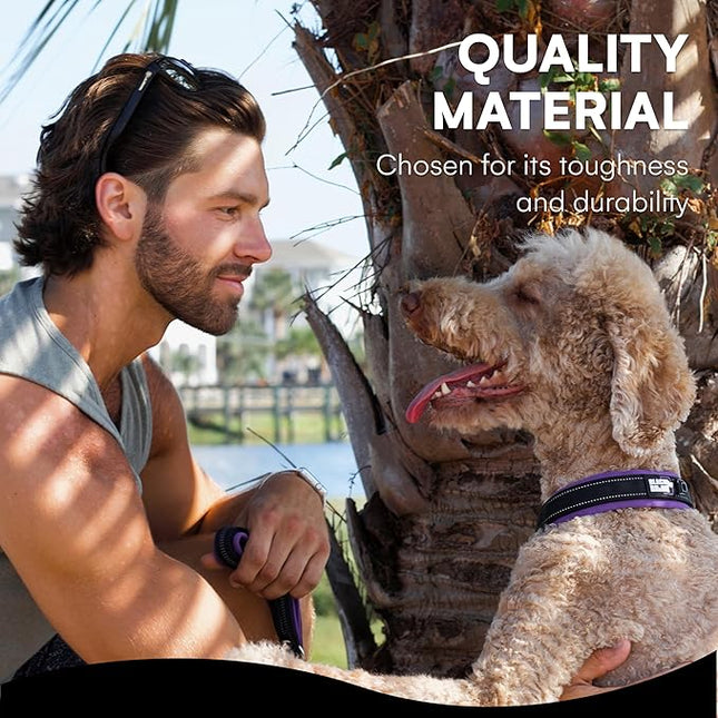 Black Rhino Reflective Dog Collar - Heavy Duty Adjustable Comfort Collar with Ultra Soft Neoprene Padding for All Breeds - Weatherproof, Lightweight Dog Collars for Medium Dogs (Medium, Purple/Black)