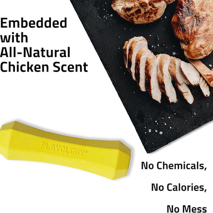 Playology Dog Toys | Durable Squeaky Chew Stick for Dogs | Medium Chicken Scented Toy - Easy to Clean and Made from Non Toxic Materials