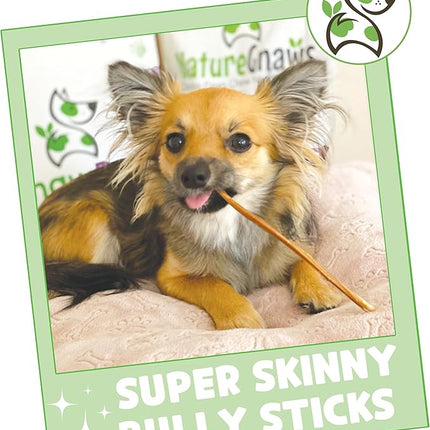Nature Gnaws Super Skinny Bully Sticks for Small Dogs 5-6" (15 Count) - Long Lasting for Light Chewers and Puppies - Extra Thin Natural Beef Dog Chew Treats