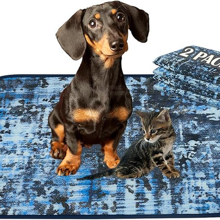 Qeils Washable Pee Pads for Dogs, 2 Pack Reusable Puppy Pads 18"x24" Super Absorbent Leakproof Dog Training Pads, Non-Slip Potty Pads for Floor, Crate,Couch, Whelping Pads Litter Mat Puppy Supplies