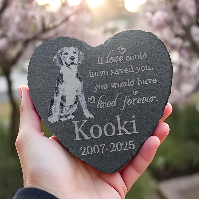 Pet Memorial Stone, Dog Memorial Stone, Dog Memorial Gifts for Loss of Dog, Pet Memorial Gifts, Loss of Pet Sympathy Gift, in Loving Memory Pet - Loved Could Saved You Forever - Heart Shaped