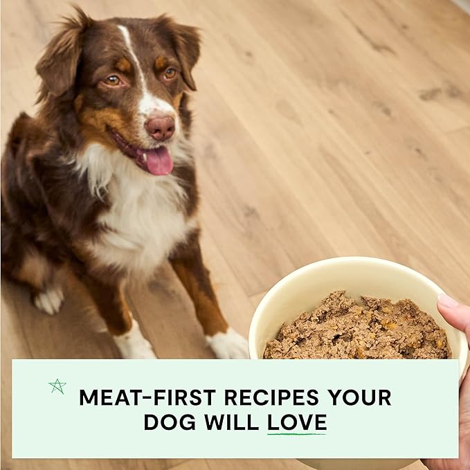 Open Farm Canned Dog Food, Paté for Complete & Balanced Nutrition, Grain-Free and Legume-Free, Grass-Fed Beef Recipe, 12.5oz Cans (Pack of 12)