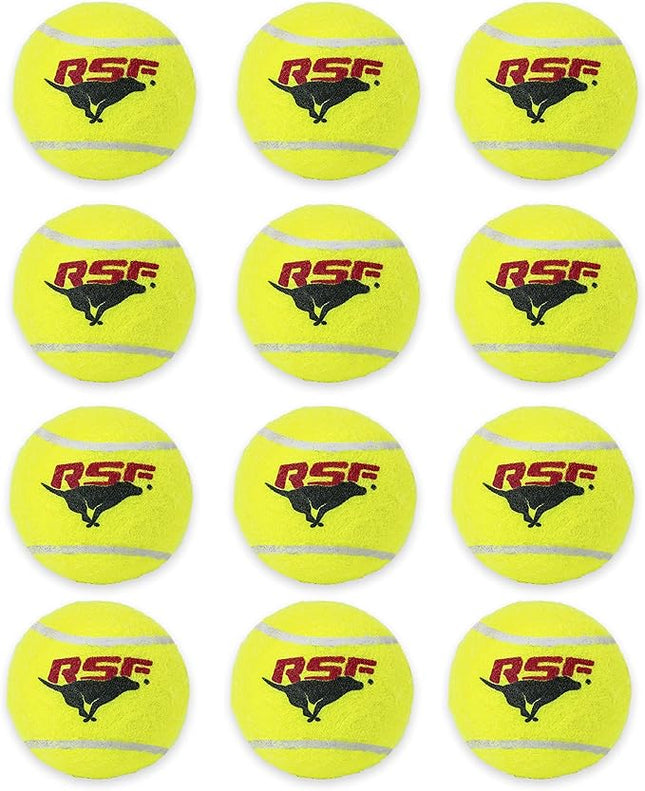 Franklin Pet Supply Co. RSF Squeak Mini 1.75" Tennis Balls - Dog Toy Squeaks When Squeezed - 12 Pack - for Small Dogs - Squeaker Noise