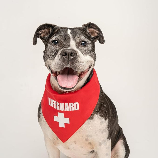 Lifeguard Dog Bandana | 100% Cotton Adjustable Triangle | Made in USA | Summer Outfit | Beach House Vibes | Vacation Travel | Funny Prop for Photoshoots | Red X-Small (53)
