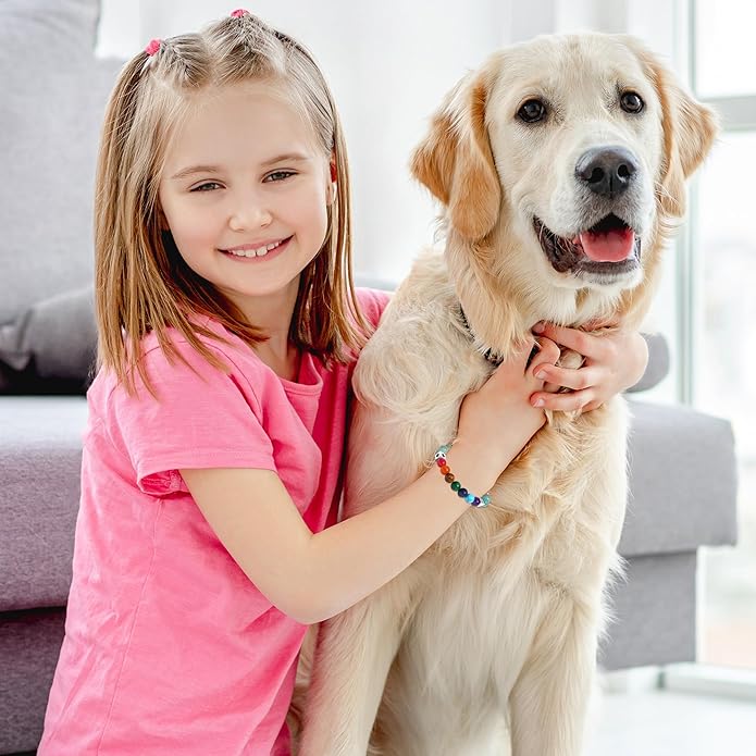 TONY & SANDY Dog Memorial Gifts, Pet Sympathy Rainbow Bridge Pet Memorial Bracelet for Men Women Girls Who Loss of Beloved Dog Cat