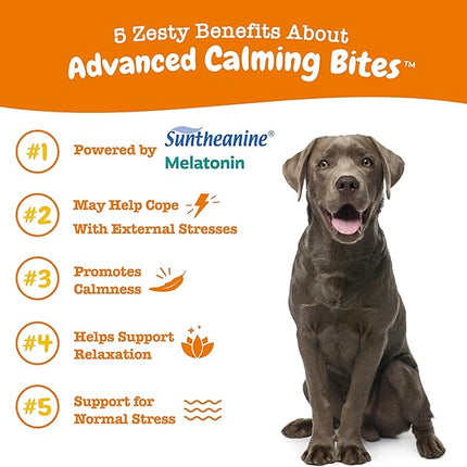 Zesty Paws Calming Chews for Dogs - for Everyday Stress, Relaxation, Composure, and Separation Turkey 90 Count