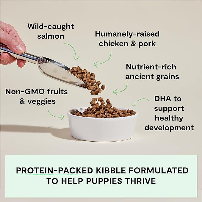 Open Farm, Ancient Grains Dry Dog Food for Puppies, Protein-Rich & Nutrient Dense, 90% Animal Protein Mixed with Non-GMO Fruits, Veggies and Superfoods, Chicken & Salmon Recipe for Puppy, 22lb Bag