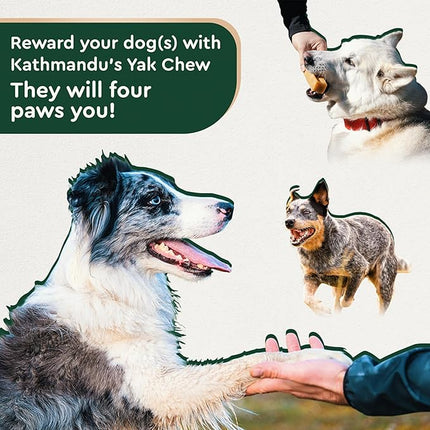 KATHMANDU'S Authentic Yak Cheese Himalayan Dog Chews - All Natural and Protein-Rich Nutrition Dog Treats, Long Lasting Chews for Aggressive Chewers, Odor & Gluten Free Yak Chew | Jumbo (Pack of 5)