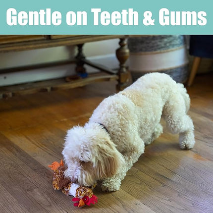 SPOT Skinneeez Chicken 17" Stuffing-Free Plush Dog Toy with Honking Squeaker – Soft, Floppy & Mess-Free Interactive Toy for Medium & Large Dogs – Ideal for Light & Moderate Chewers