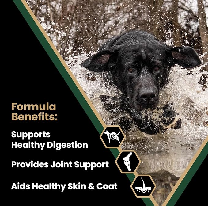 VICTOR Super Premium Dog Food – Performance Dry Dog Food from Beef, Chicken and Pork Meal – 26% Protein for Active Adult Dogs – Includes Glucosamine and Chondroitin for Hip and Joint Health, 40lbs