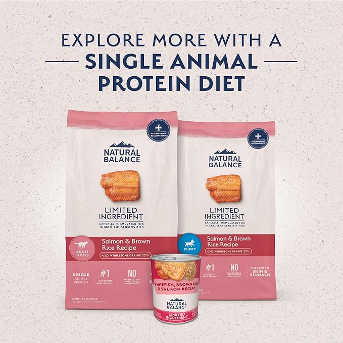 Natural Balance Limited Ingredient Adult Dry Dog Food with Healthy Grains, Salmon & Brown Rice Recipe, 24 Pound (Pack of 1)