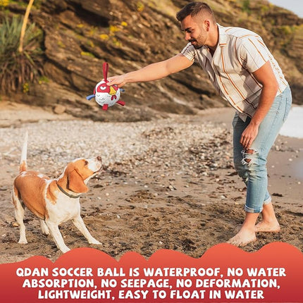 QDAN Dog Toy Balls: Pet Training Soccer Ball Dog Toy with Straps- Puppy Extra Small Dog Balls Beach Pool, Dogs Herding Ball, (5 Inch)