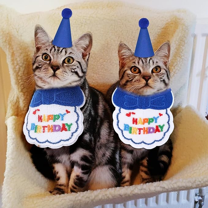 2pcs Cat Birthday Hat,Cute Birthday Hat for Cat,Adjustable Embroidered Cats Party Hats with Bib, for Girls, Boys, Kittens and Dogs Party Supplies Decoration Set (Blue)