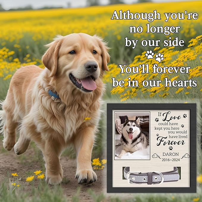 Personalized Dog Memorial Gifts, Pet Memorial Gifts for Dogs, Loss of a Dog Sympathy Gift, Dog Memorial Gifts for Loss of Dog, Pet Memorial Gifts Cat, Dog Memorial Collar Frame, Pet Memorial Gift