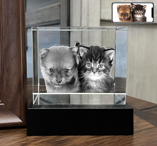Personalized Dog, Cat Memorial Gifts for Pet Owners. Gift Box Included, Customized Laser Etched Crystal Photo (Medium Landscape)