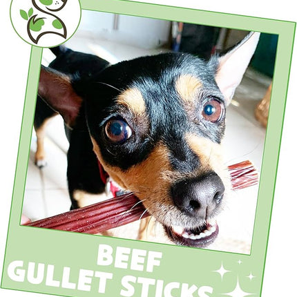 Nature Gnaws Beef Gullet Sticks for Dogs 5-6" (15 Count) - Natural Beef Jerky Stick Dog Chew Treats - Rawhide Free