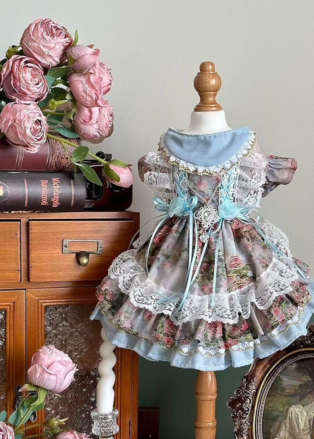 Fashion Sweet Puppy Dog Lace Princess Dress for EXTRAL Small and Small Dog C-Blue X-Large
