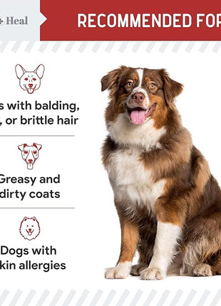 Omega for Dogs - 180 Delicious Soft Chews - Salmon Oil Treats for Skin and Coat, Itch Relief - Fish Oil Blend of Essential Fatty Acids, Omega 3, 6, and 9, and Vitamins - Smoked Bacon Flavor