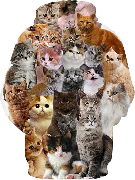 Yasswete Unisex Adults 3D Printed Fashion Hoodies for Men Women Pullover Novelty Sweatshirts with Big Pockets