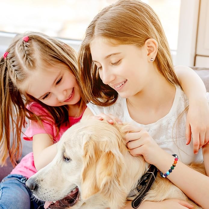 TONY & SANDY Dog Memorial Gifts, Pet Sympathy Rainbow Bridge Pet Memorial Bracelet for Men Women Girls Who Loss of Beloved Dog Cat