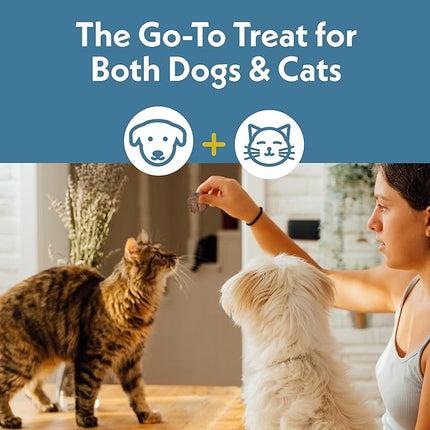 Fresh Is Best Freeze Dried Dog Treats – Raw Freeze Dried Cat Treats in Resealable Zipper Bag – High-Protein Duck Giblets for Dogs & Cats – Made in The USA