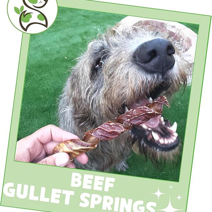 Nature Gnaws Beef Gullet Springs for Dogs 7-8" (12 Count) - Natural Beef Jerky Stick Dog Chew Treats - Rawhide Free