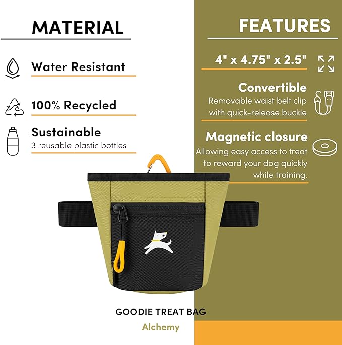 OllyDog Goodie Treat Bag, Dog Treat Pouch, Waist Belt Clip for Hands-Free Training, Magnetic Closure, Dog Training and Behavior Aids, Three Ways to Wear (Alchemy)