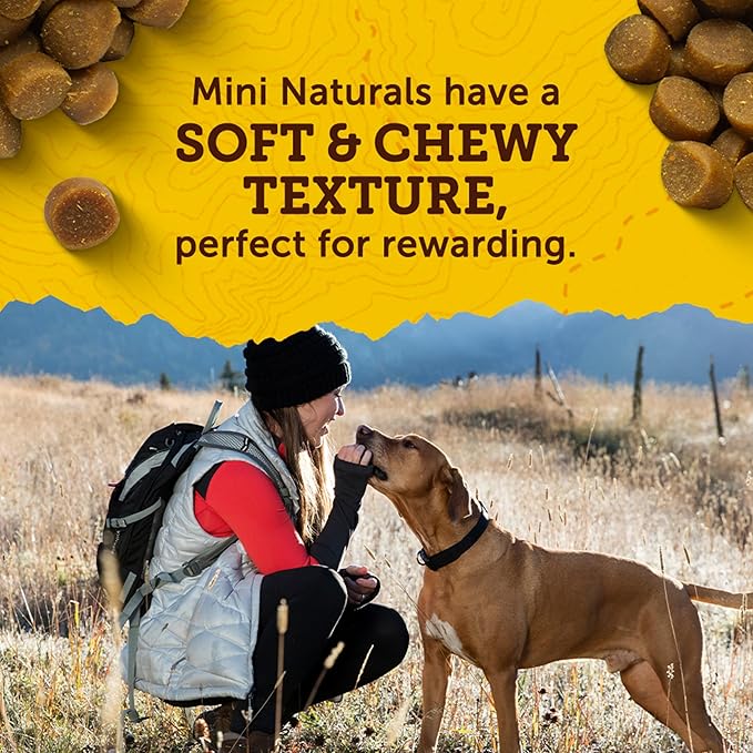Zuke’s Mini Naturals Dog Training Treats for Dogs, Pet Treats Made with Real Chicken, 16 oz