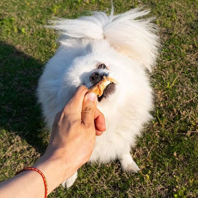 MON2SUN Dog Treats, Chicken Wrapped Calcium Bones Without Rawhide, 2.3 Inch Training Treats for Teeth Cleaning and Fresh Breath, Chews for Puppy and Small Dogs (28 Count - Pack of 1)